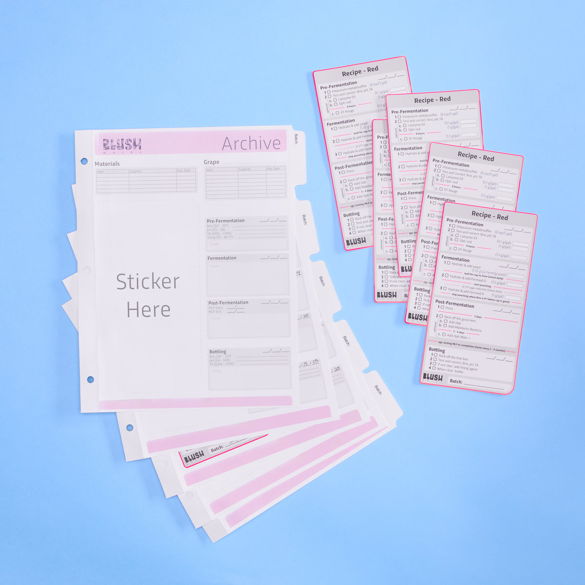 Compass: Paper Bundle